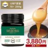 マヌカハニー UMF15+ が3880円 250g 1本 UMF協会認定 MG512-825相当 テイラーパス ＆ マリリ モノフローラル 生 はちみつ 非加熱 無添加 【本店限定！会員パスポートでさらに最大12％OFF】